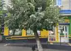 Аптека №29 - 3 