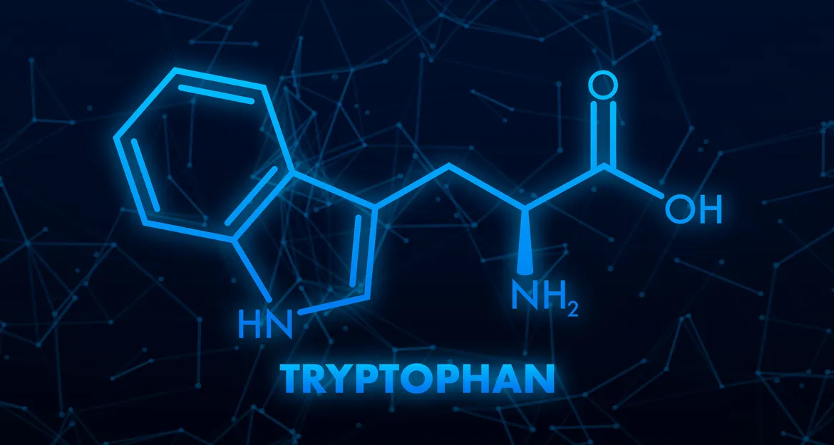 Триптофан – аминокислота хорошего настроения Триптофан – аминокислота хорошего настроения