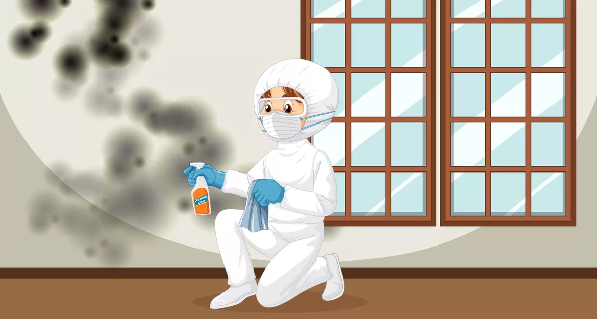 Аллергия на плесень и влажность: профилактика и лечение