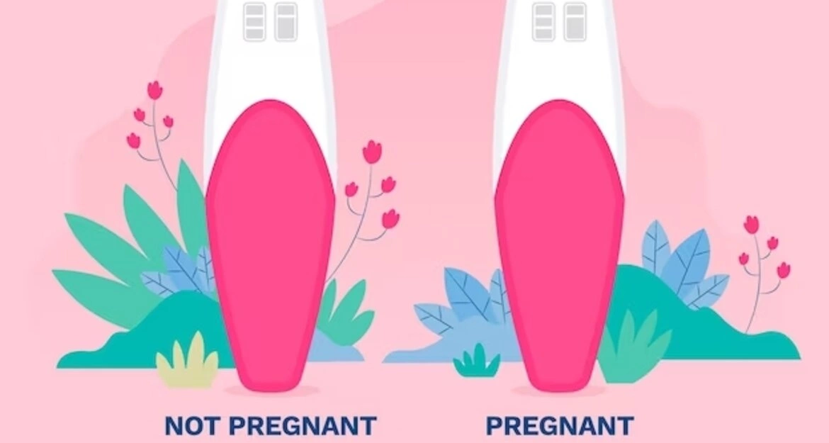 Как правильно делать тест на беременность?