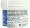 Цинковая мазь 10% банка 25 г — Фото 3
