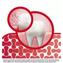 Зубна паста Пародонтакс (Parodontax) Захист Ясен+ Свіжий Подих і Чутливість Зубів 75 мл — Фото 10