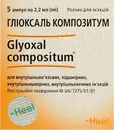 Глиоксаль Композитум раствор для инъекций ампулы 2,2 мл №5 — Фото 3