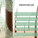 Шампунь, средство №1 против выпадения волос Elfa Pharm с активатором роста Bh Intensive+ 200 мл — Фото 13