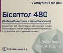 Бісептол концентрат для інфузій 480 мг/5 мл ампули 5 мл №10 — Фото 4