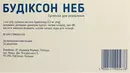 Будіксон неб суспензія для інгаляцій 0,05% контейнер 2 мл №20 — Фото 5
