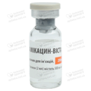 Амікацин-Віста розчин для ін'єкцій 250 мг/мл по 2 мл флакон №1 — Фото 11