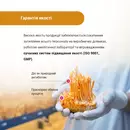 Кордицепс супер капсули 400 мг №60 — Фото 14