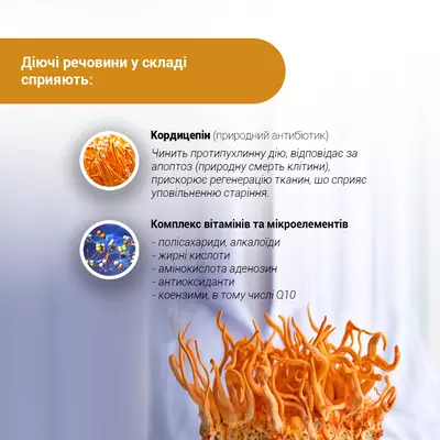 Кордицепс супер капсули 400 мг №60 — Фото 7