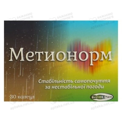 Метионорм капсулы 460 мг №30 — Фото 1
