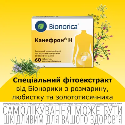 Канефрон H таблетки покрытые оболочкой №60 — Фото 3
