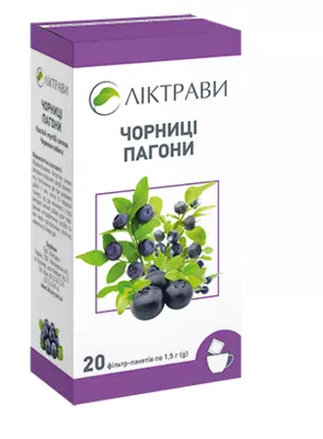 Чорниця пагони у фільтр-пакетах 2 г №20 — Фото 1