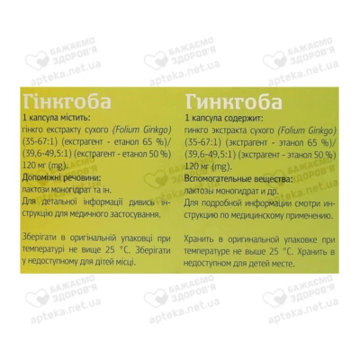 Гинкгоба капсулы 120 мг №60 — Фото 2