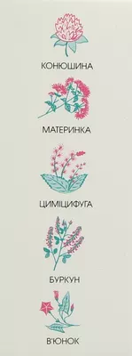 Фемевита таблетки №30 — Фото 2