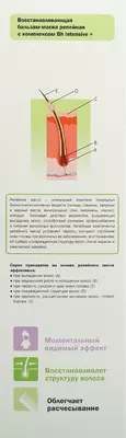 Ельфа Фарм (Elfa Pharm) Реп'яхова серія бальзам-маска для волосся відновлююча проти випадіння волосся 200 мл — Фото 4