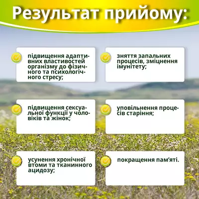 Ашваганда супер концентрат капсулы 500 мг №60 — Фото 3