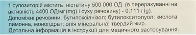 Ністатин супозиторії ректальні 500000 ОД №10 — Фото 2