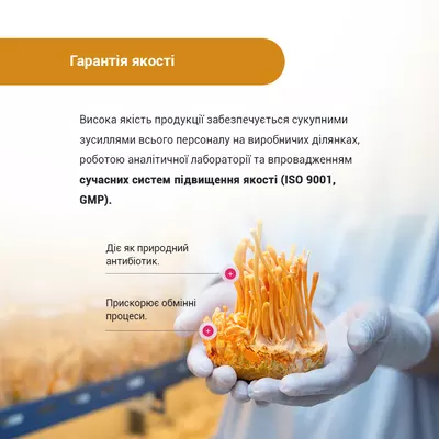 Кордицепс супер капсули 400 мг №60 — Фото 6