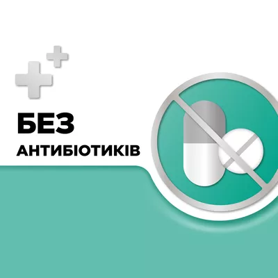 Стрепсілс льодяники з ментолом та евкаліптом №24 — Фото 8