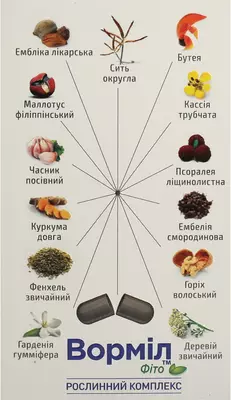 Вормил фито капсулы №60 — Фото 3