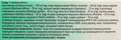 Нокамен таблетки покрытыте плёночной оболочкой №60 — Фото 2