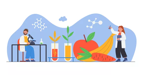 Бета-каротин: антиоксидант, защищающий организм