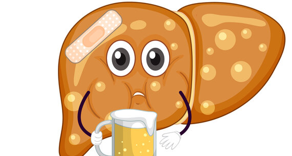 Алкогольная болезнь печени: симптомы и лечение