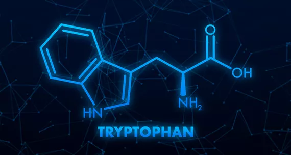 Триптофан – аминокислота хорошего настроения