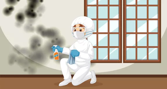 Аллергия на плесень и влажность: профилактика и лечение