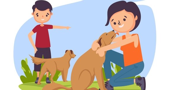 Что делать если укусила собака, а что категорически запрещено