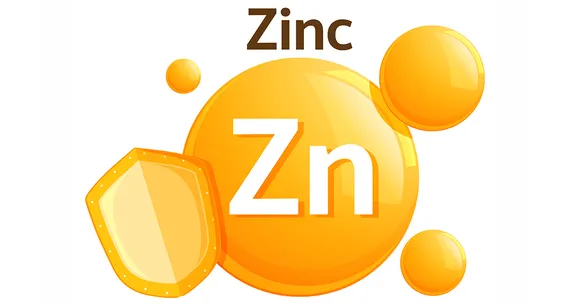 Роль цинку в організмі: імунітет, гормони та відновлення клітин