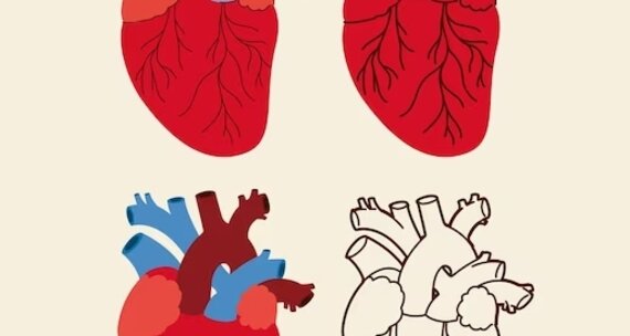 Хвороби серця: різновиди, причини та можливі наслідки