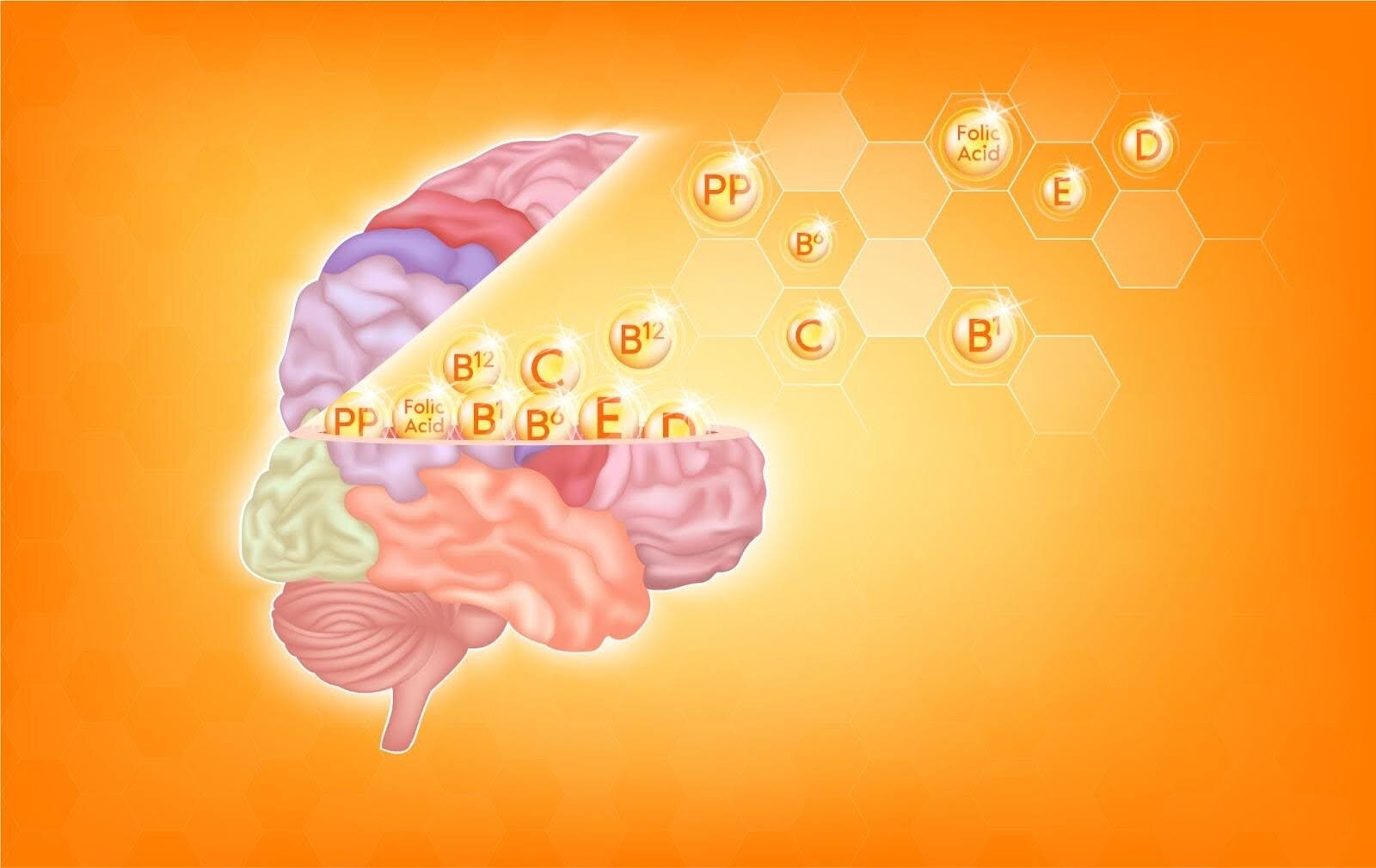 Харчові джерела вітамінів для мозку