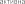 Shape118