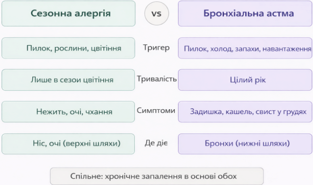 Алергія й астма – це одне й те саме?