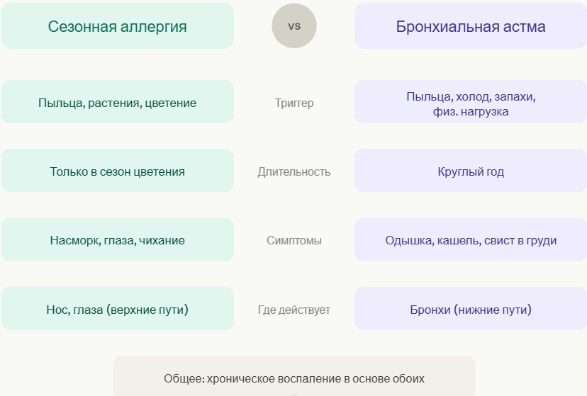 Аллергия и астма – это одно и то же?